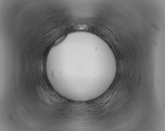 X0000111241442200907020949