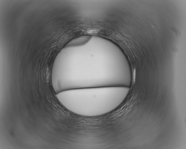 X0000111241443200907020949