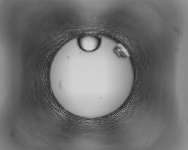 X0000111241444200907020949