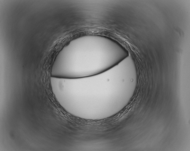 X0000111241447200907020949
