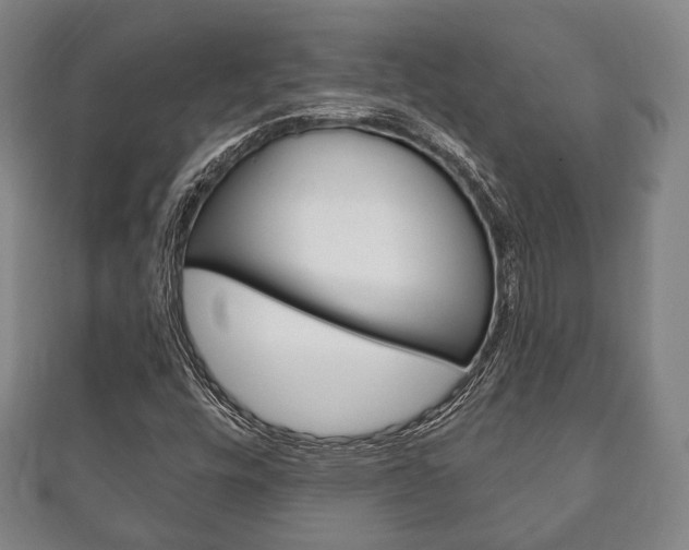 X0000111241448200907020949