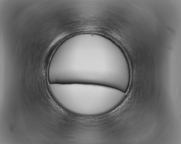 X0000111241450200907020949