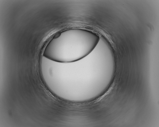 X0000111241453200907020949