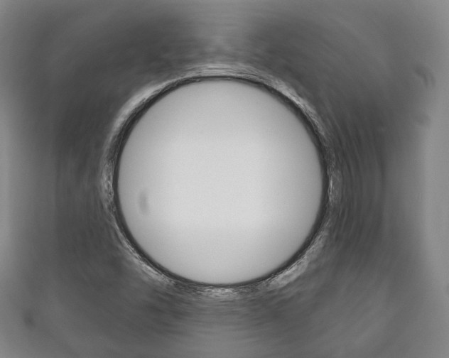 X0000111241454200907020949