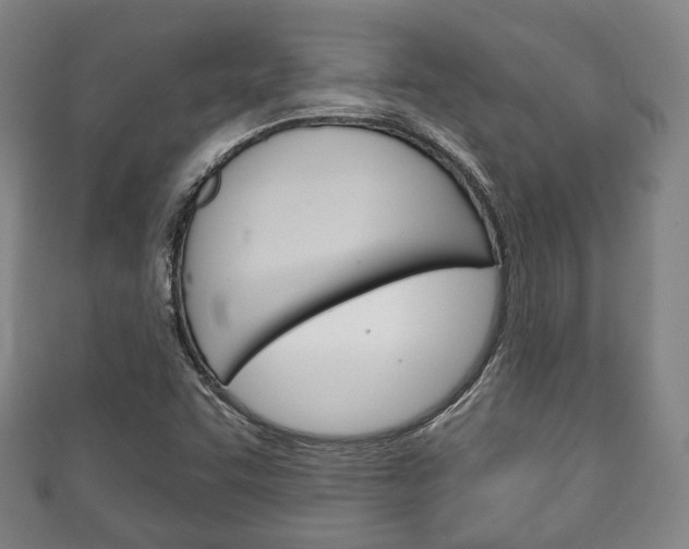 X0000111241455200907020949