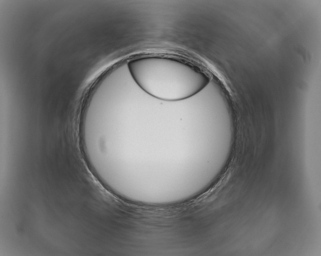 X0000111241456200907020949