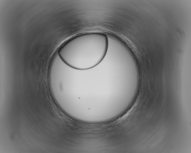 X0000111241457200907020949