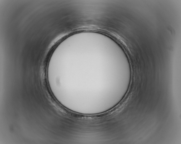 X0000111241458200907020949