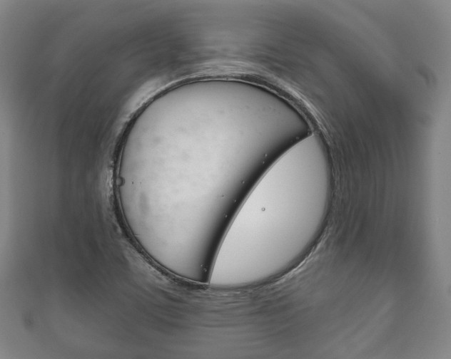 X0000111241459200907020949