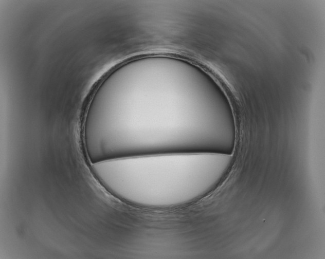 X0000111241460200907020949