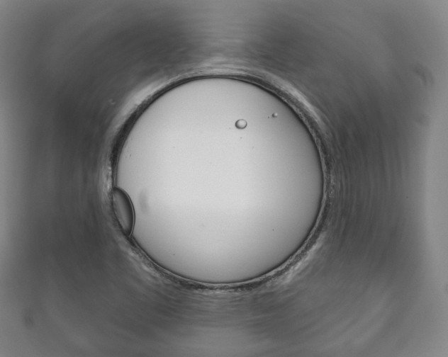 X0000111241461200907020949
