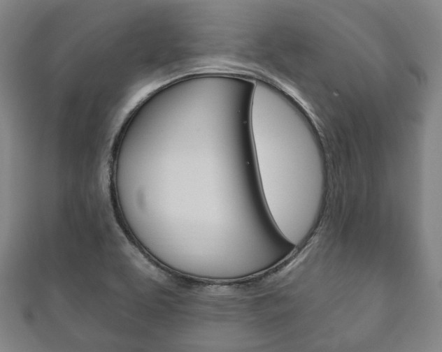 X0000111241463200907020949