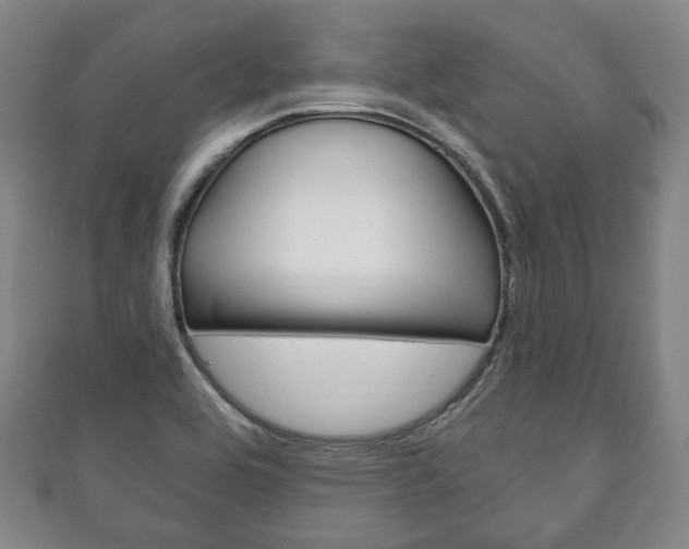 X0000111241464200907020948