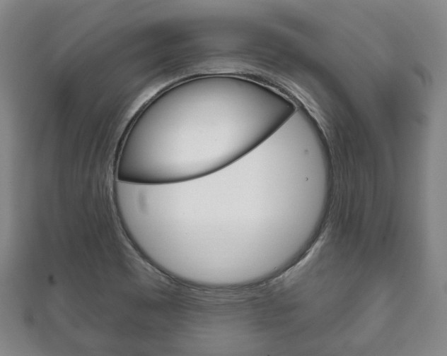 X0000111241465200907020948