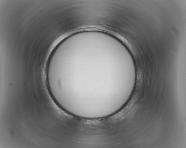 X0000111241466200907020948