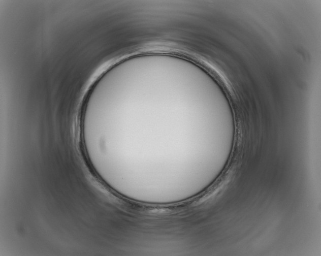 X0000111241467200907020948