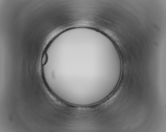 X0000111241469200907020948