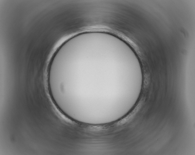 X0000111241470200907020948