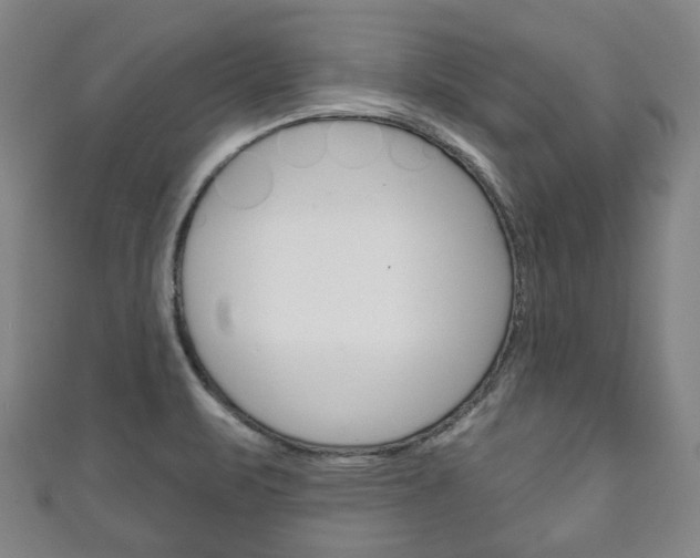 X0000111241471200907020948