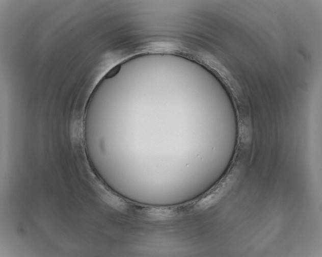 X0000111241473200907020948