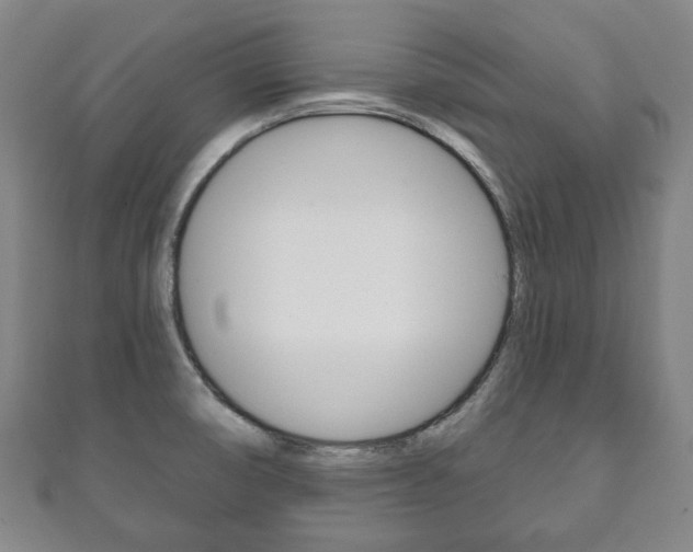 X0000111241474200907020948