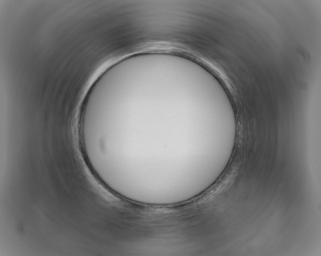 X0000111241475200907020948