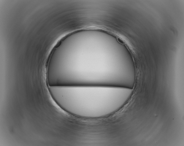 X0000111241476200907020948