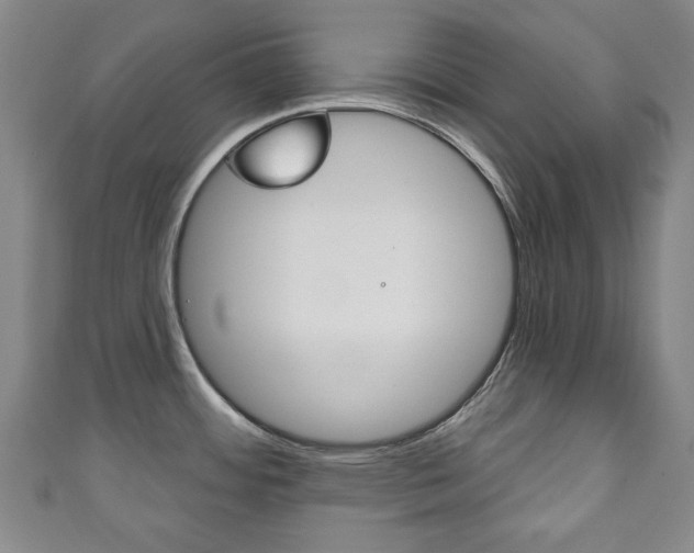 X0000111241484200907020948