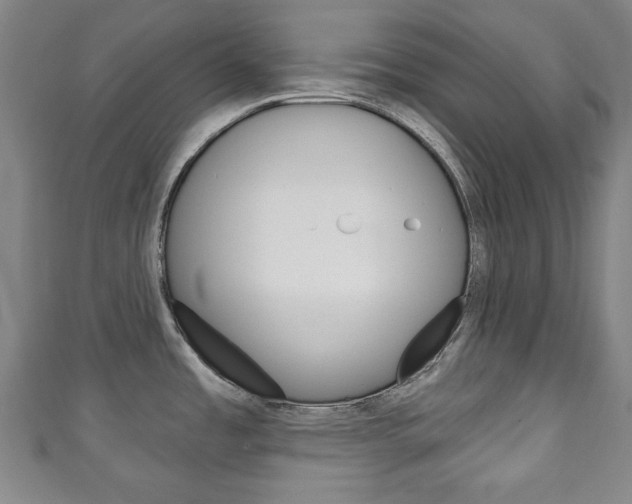 X0000111241485200907020948