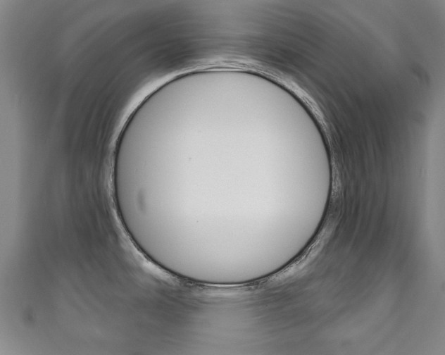 X0000111241486200907020948