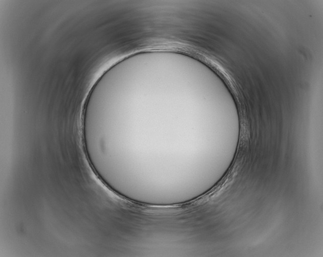 X0000111241487200907020948