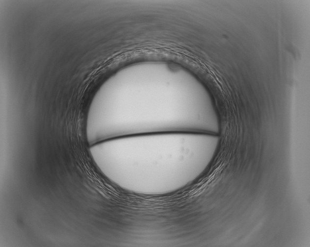 X0000111241490200907020948