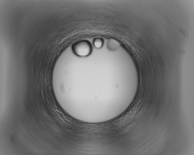 X0000111241492200907020948