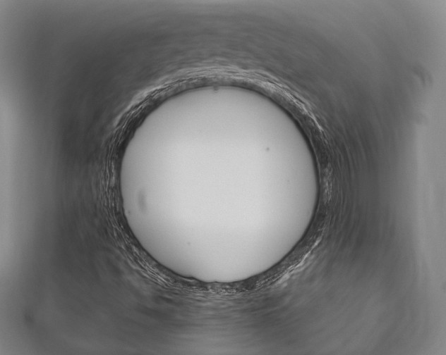 X0000111241494200907020948