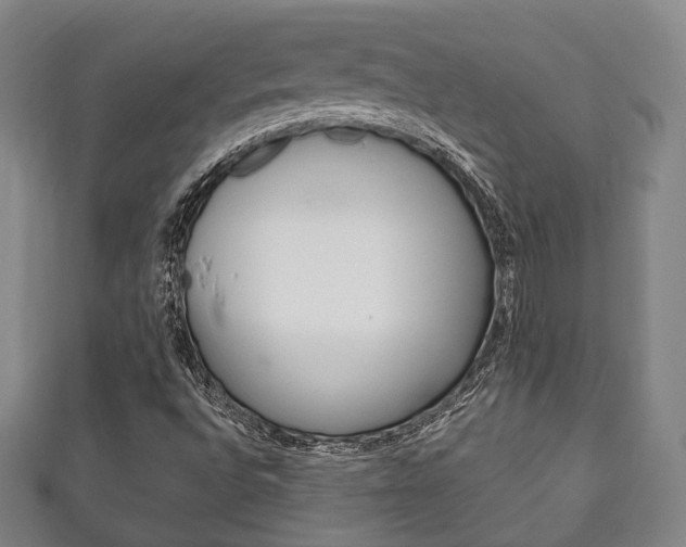 X0000111241496200907020948