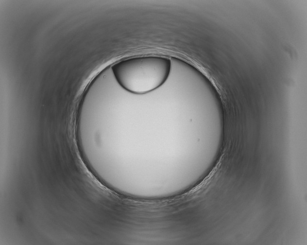 X0000111241500200907020948
