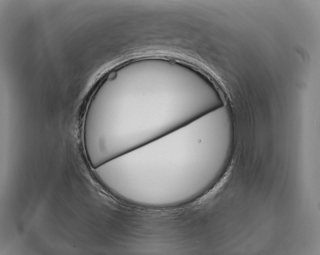 X0000111241501200907020948