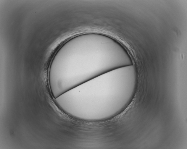 X0000111241503200907020948