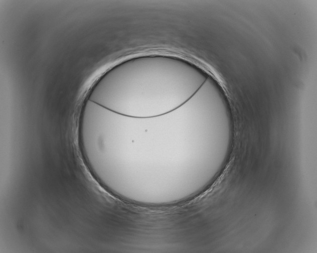 X0000111241504200907020948