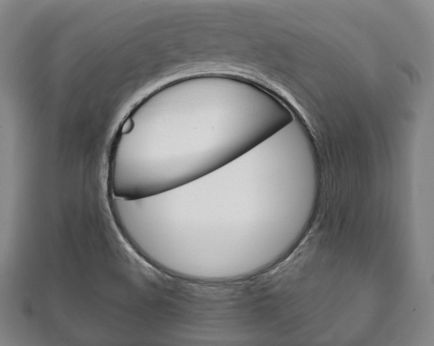 X0000111241508200907020948