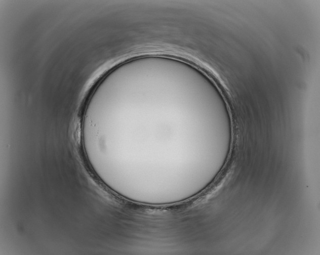 X0000111241509200907020948