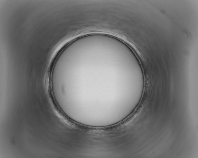 X0000111241511200907020948