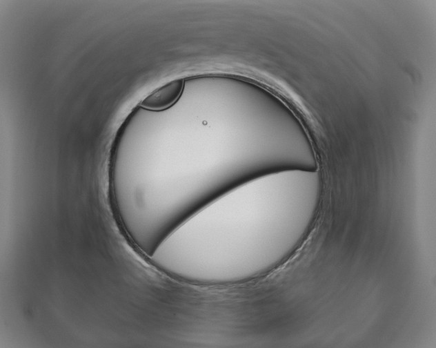 X0000111241512200907020948
