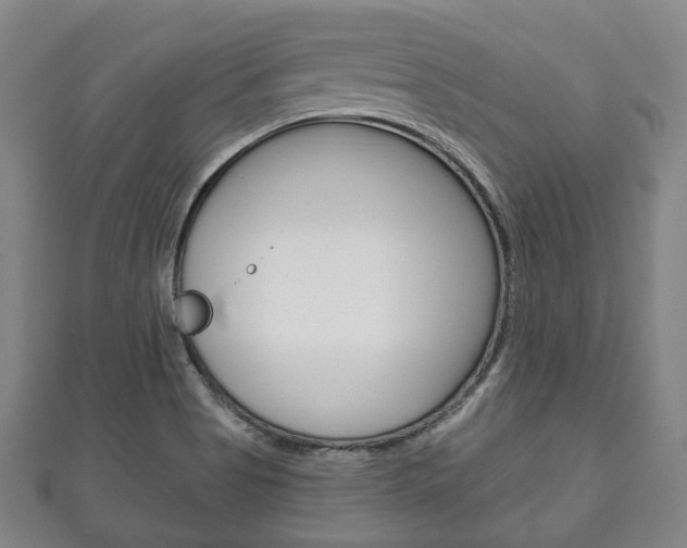 X0000111241513200907020948