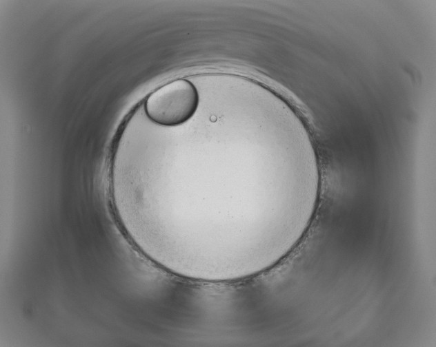 X0000111241514200907020948