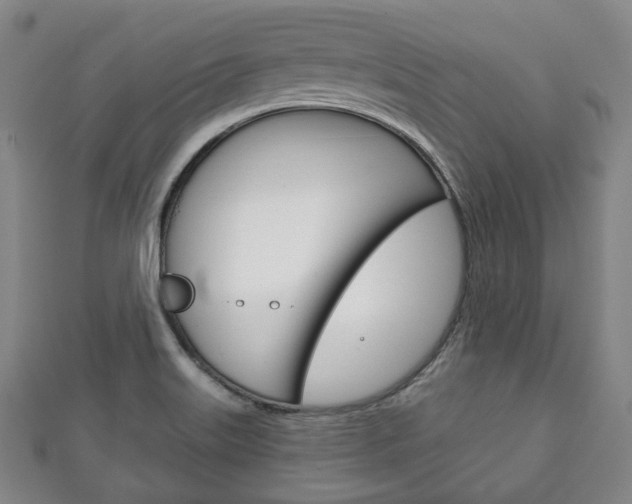 X0000111241515200907020948