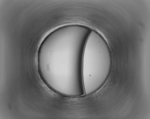 X0000111241516200907020948