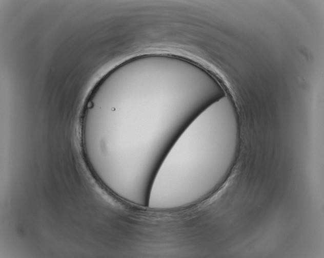 X0000111241517200907020948
