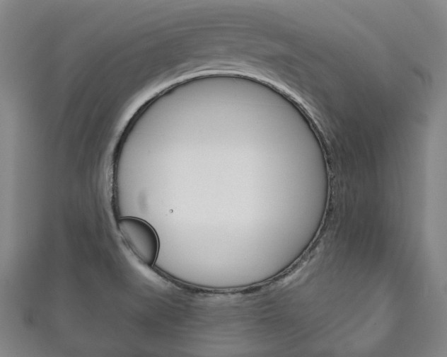 X0000111241519200907020948