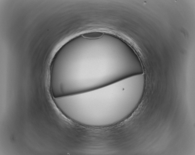 X0000111241520200907020948